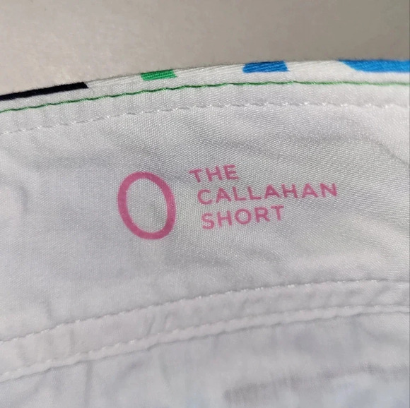 Lilly Pulitzer Callahan Shorts Size 0 Green Blue Beachy Tailored Preppy - Picture 5 of 6